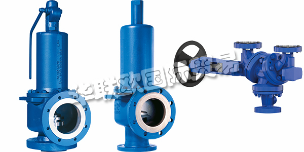 德國LESER主要產品：LESER閥門、安全閥等。LESER是歐洲最大的安全閥制造商，也是全球行業領先的公司之一。