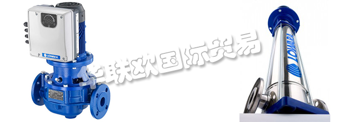 意大利LOWARA是一家專門生產(chǎn)不銹鋼泵的公司，他們提供的產(chǎn)品有：意大利LOWARA泵,、LOWARA水泵、循環(huán)器、端吸泵、多級(jí)泵、直列式泵、濕轉(zhuǎn)子循環(huán)器、變速泵、冷凝泵、自吸泵、潛水鉆孔泵、潛水污水和污水泵、潛水式脫水泵、外圍泵、泵控制器、驅(qū)動(dòng)器、變頻器、控制器、壓力開(kāi)關(guān)控制器。