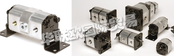 OT OILTECHNOLOGY,OT OILTECHNOLOGY齒輪泵馬達