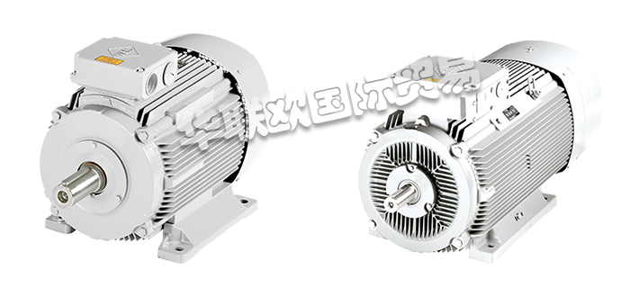 VEM電機,VEM節能電機,德國電機,德國節能電機,TRANSNORM系列,德國VEM